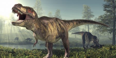 t rex