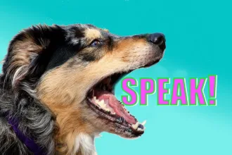 dog speak