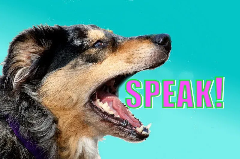 dog speak jpg webp