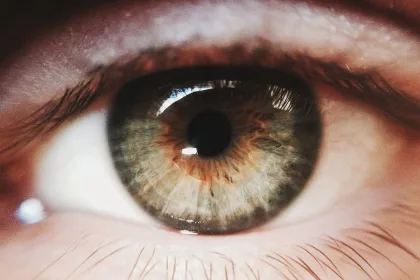 eye