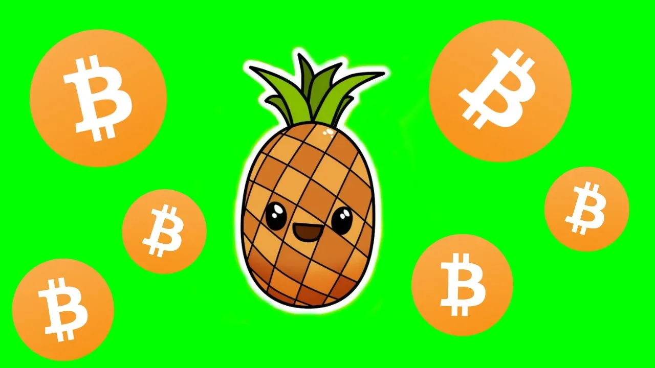 ananasova nadacia bitcoin jpg webp
