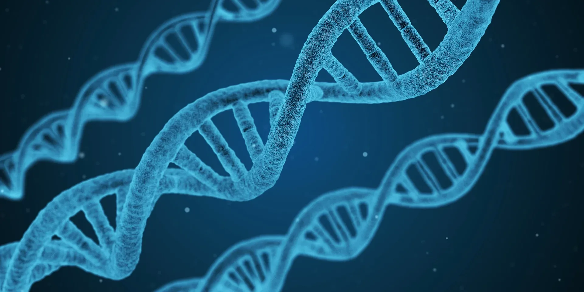 dna jpg webp