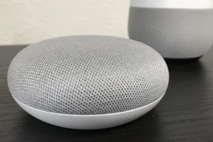 google home mini cover