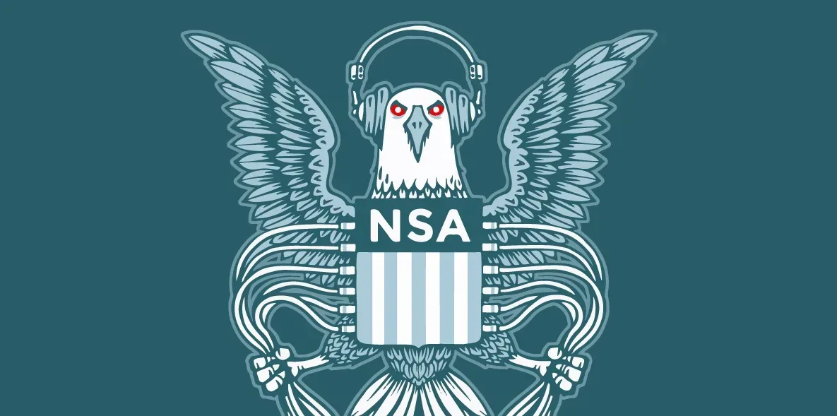 nsa jpg webp