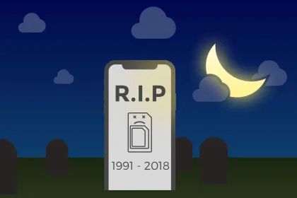 rip sim