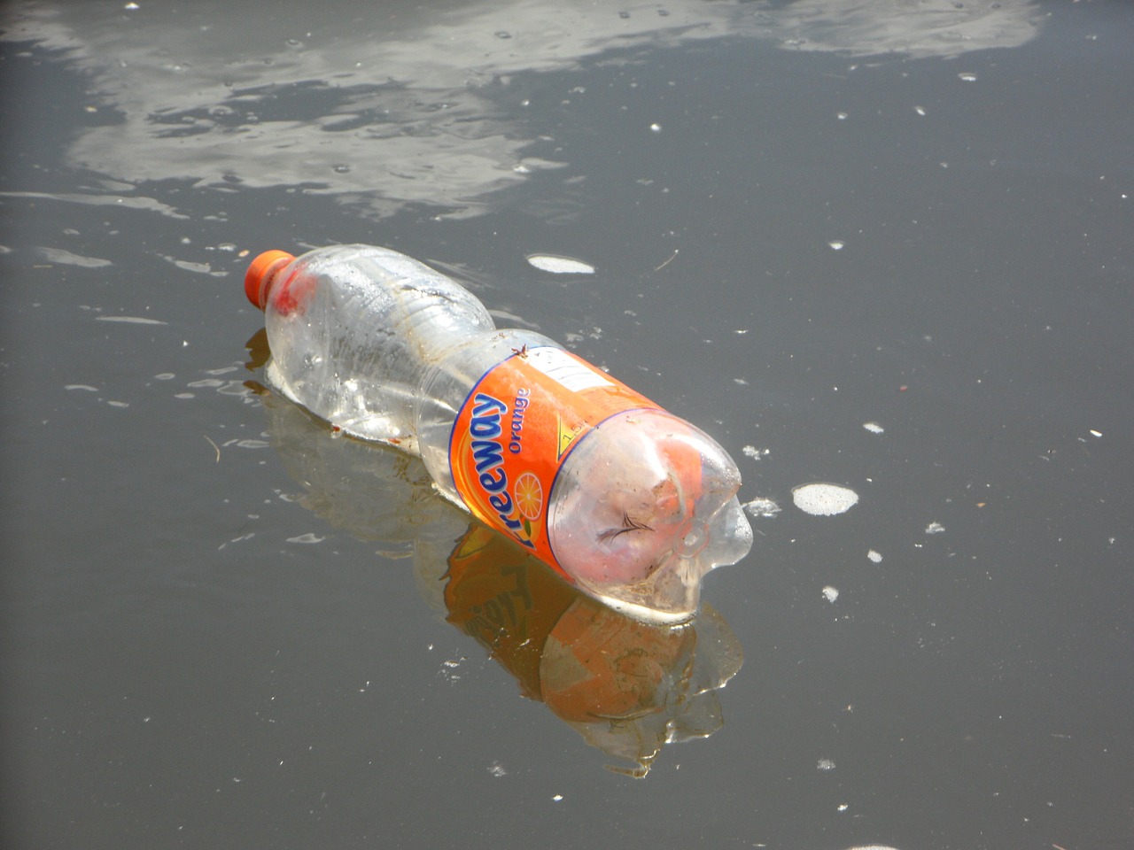 plast2
