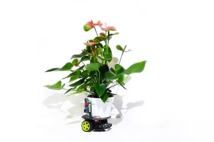 elowan rastlina robot elektronika mit vedci nikdy nezvadne