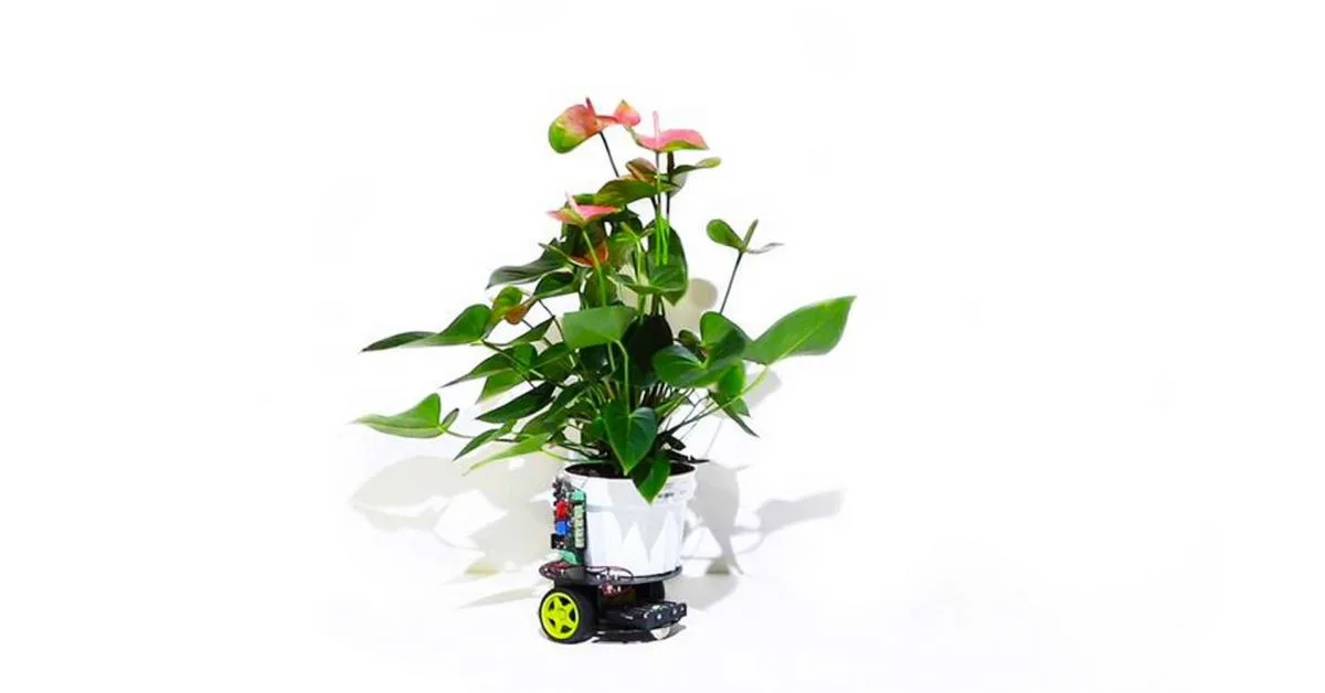 elowan rastlina robot elektronika mit vedci nikdy nezvadne jpg