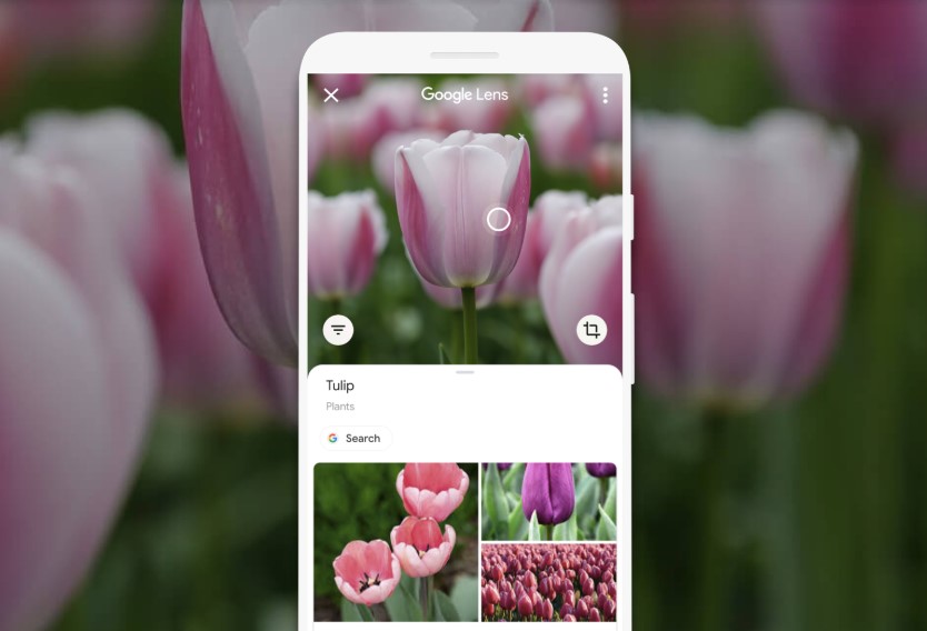 تتيح لك Google Lens نقل النص الممسوح ضوئيًا مباشرةً إلى جهاز الكمبيوتر الخاص بك
