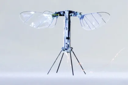 Robobee