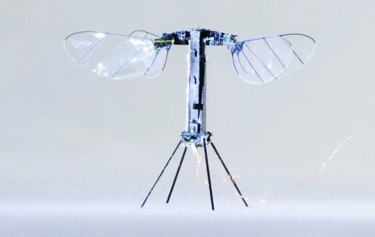 Robobee