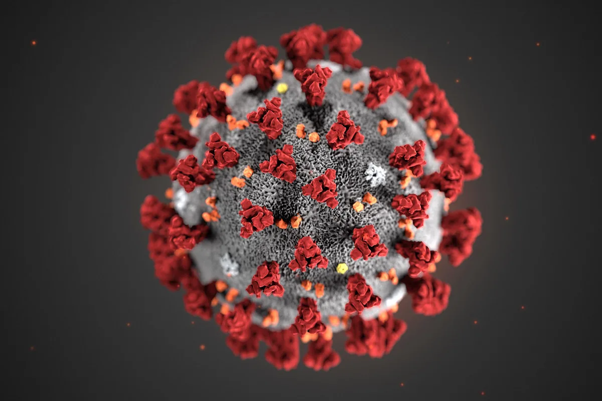 koronavirus jpg
