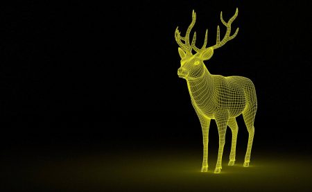 3D fotky