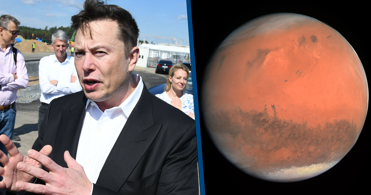 elon musk mars