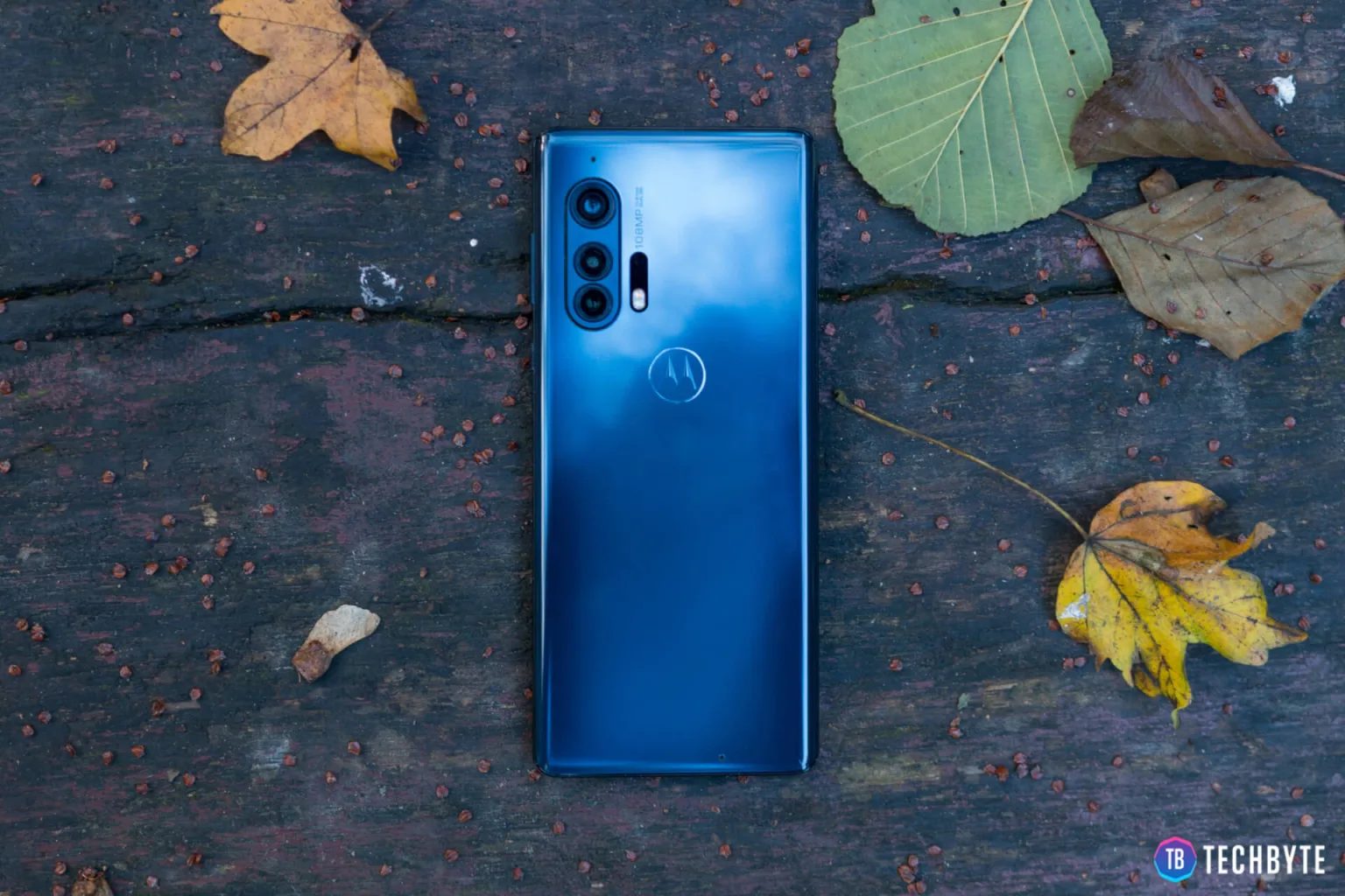 motorola