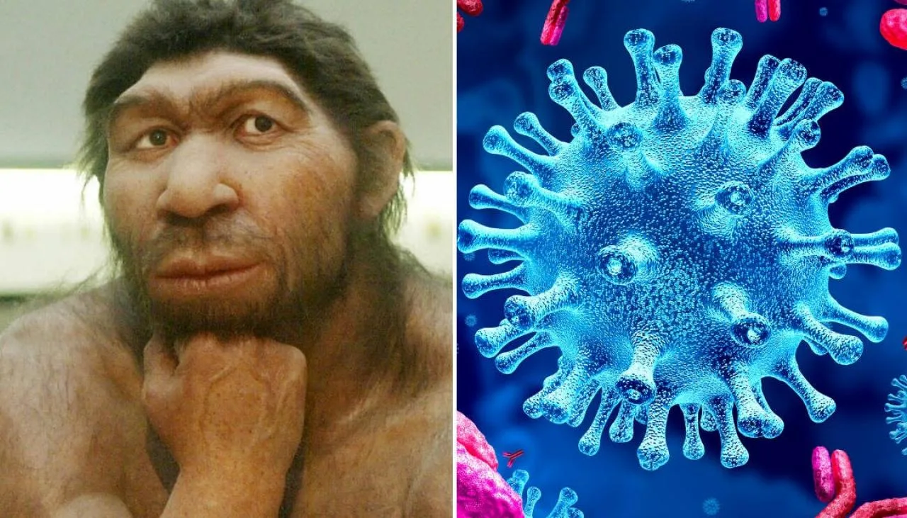 neandertalci koronavirus jpg