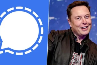 signal elon