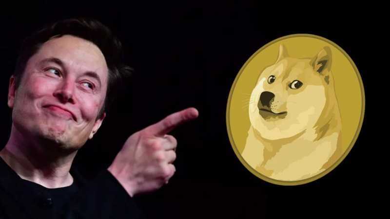 Elonovi Muskovi sa Dogecoin páči.