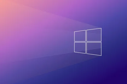 windows 11