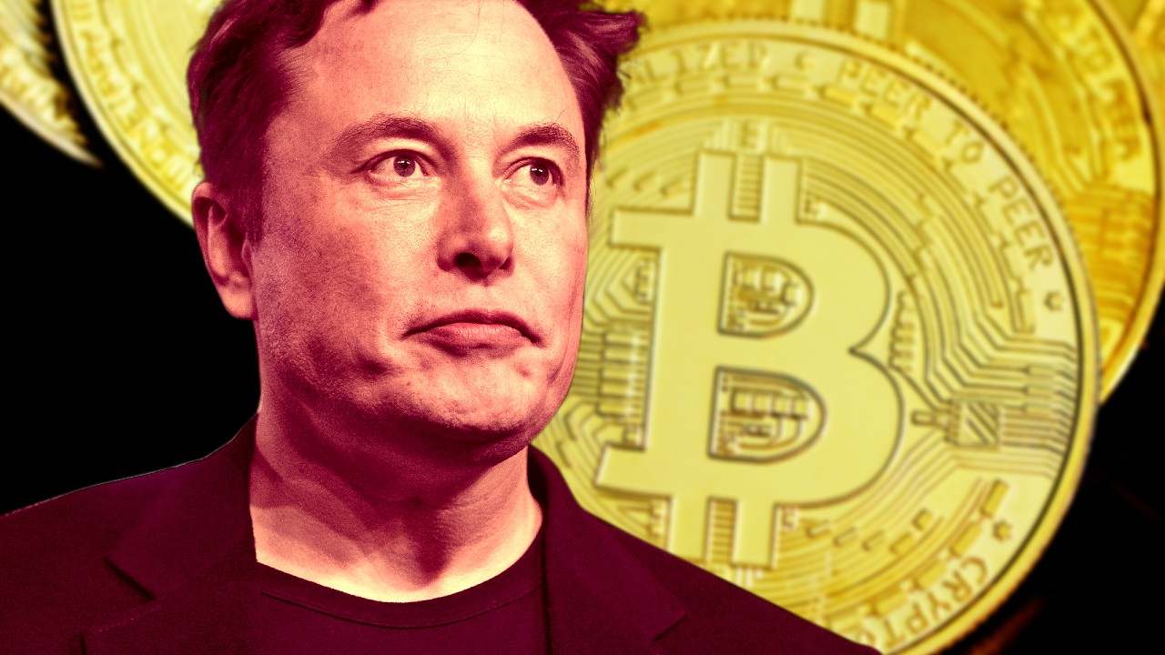 elon musk bitcoin