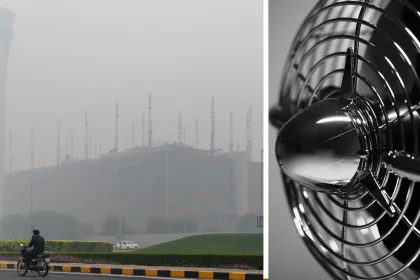smog india tit