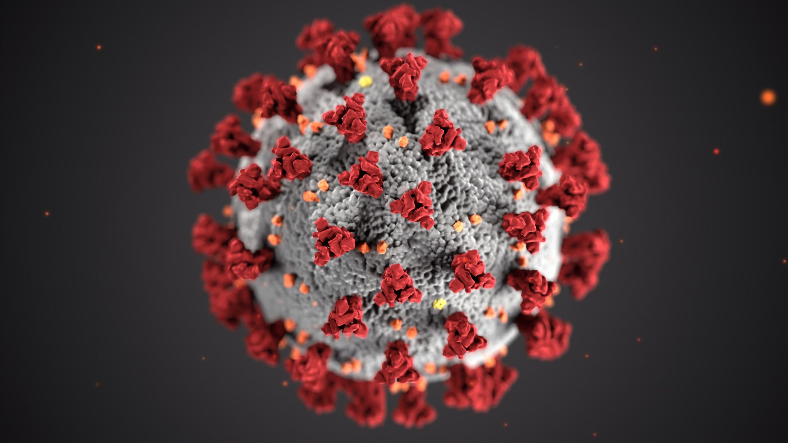 koronavirus scaled