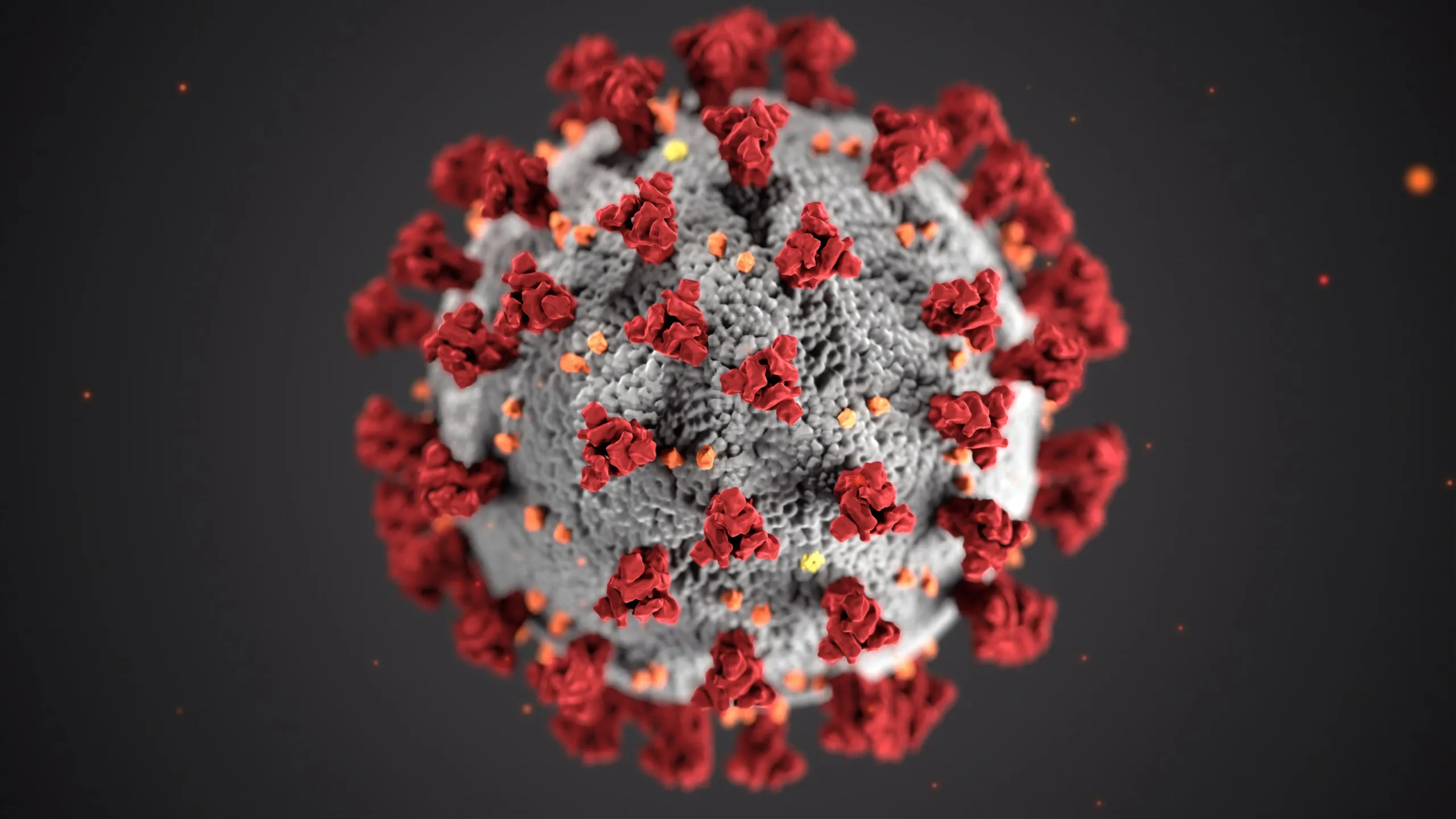 koronavirus scaled