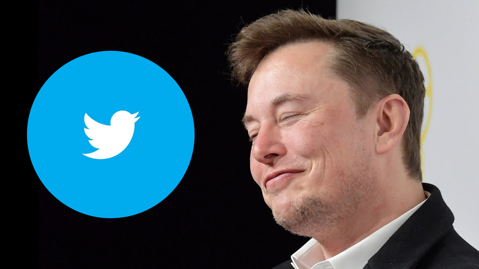 elon musk twitter spravna rada