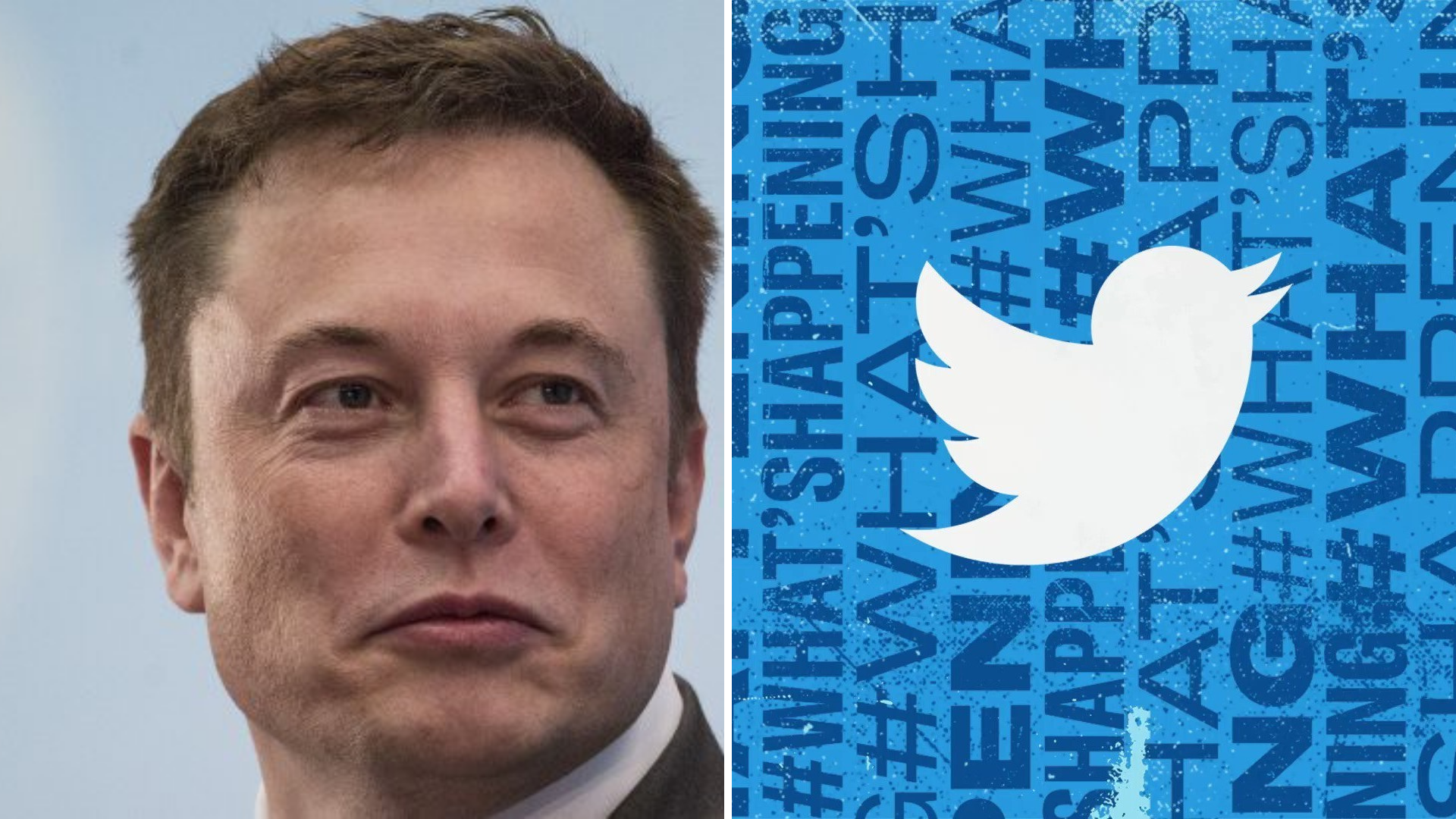 elon musk twitter tit