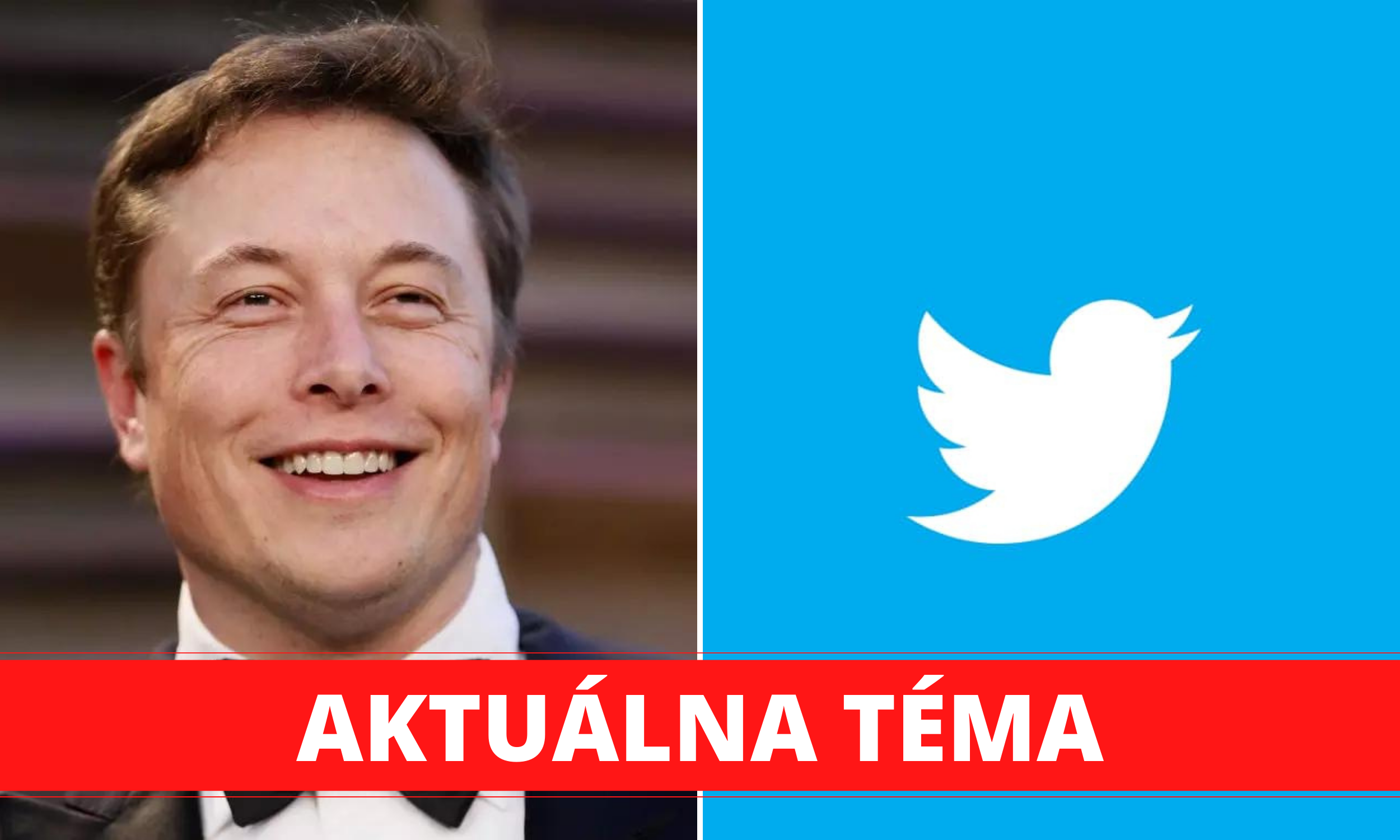 elon twitter kupa tit