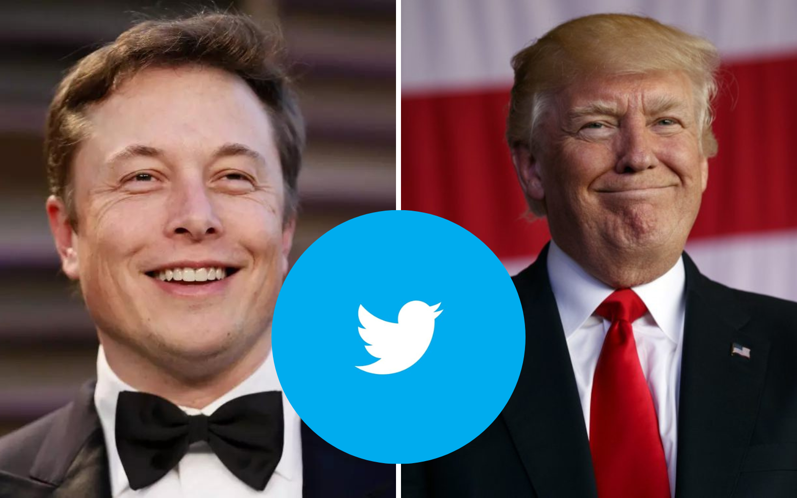 musk trump twitter