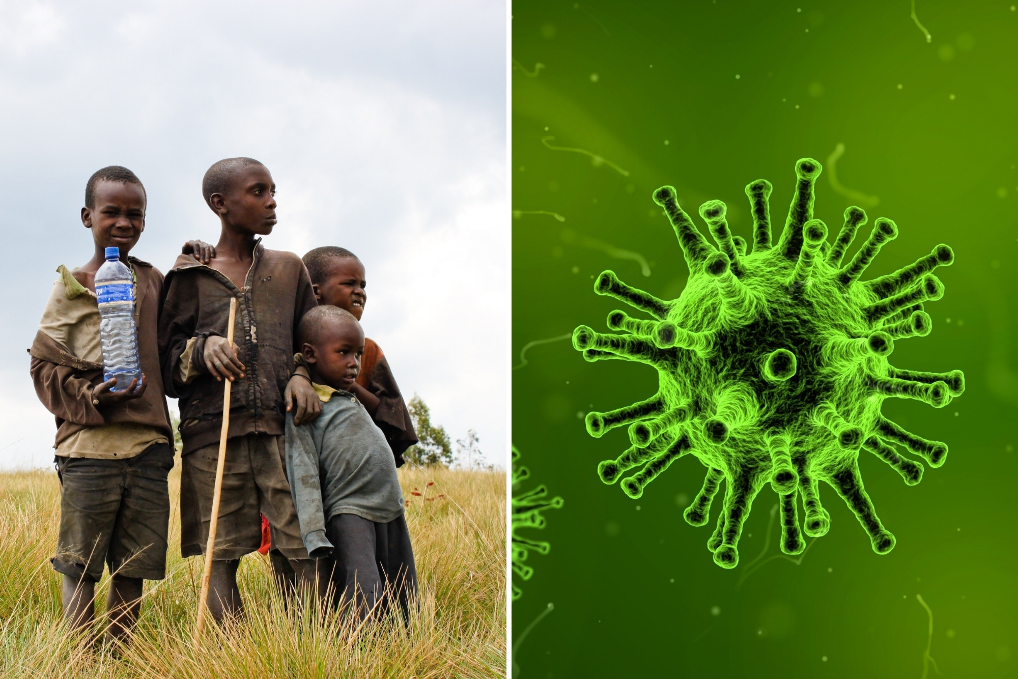 afrika virus