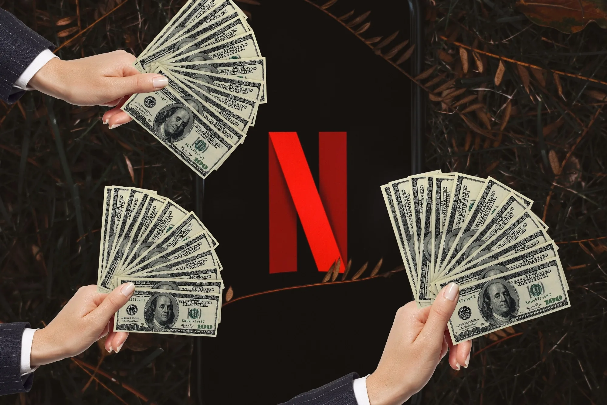 netflix peniaze jpg