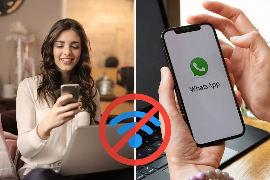 WhatsApp offline