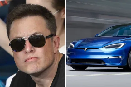 elon musk tesla tit