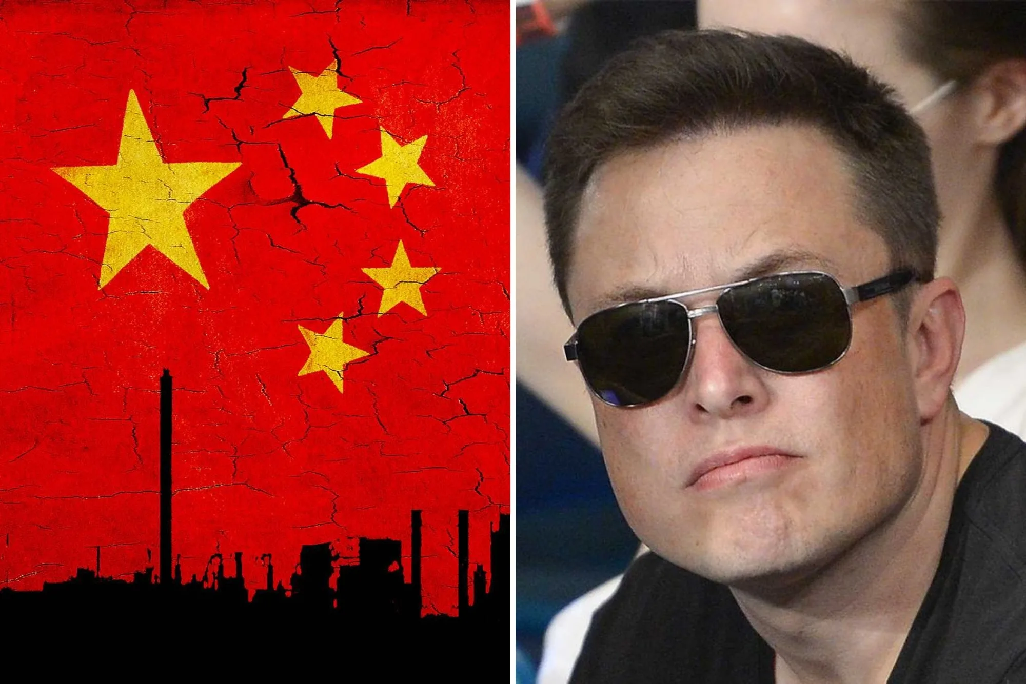 cina elon musk jpg