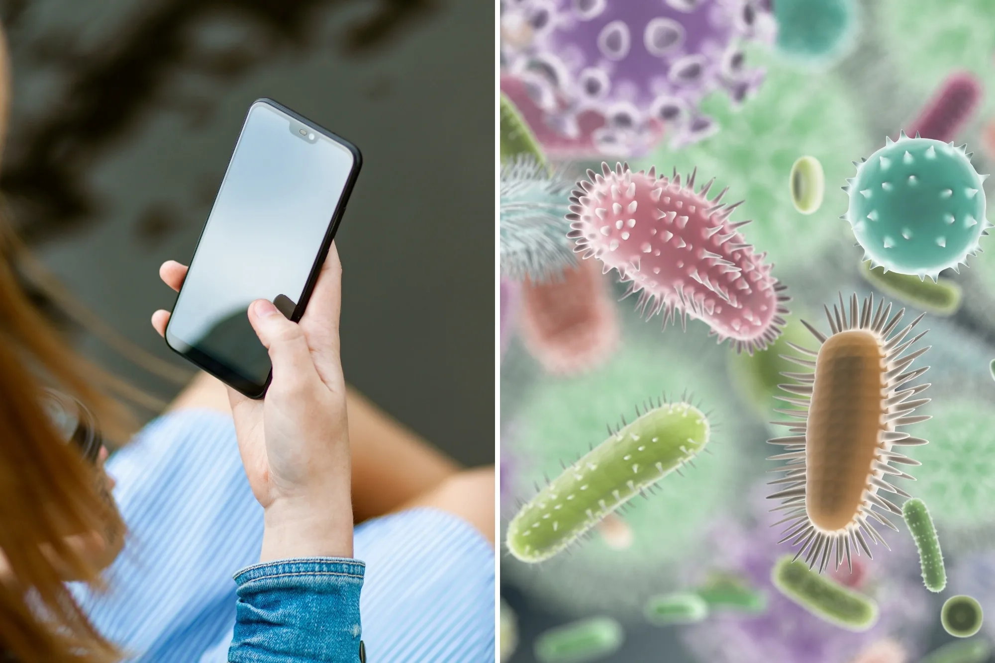 smartfon bakteria jpg