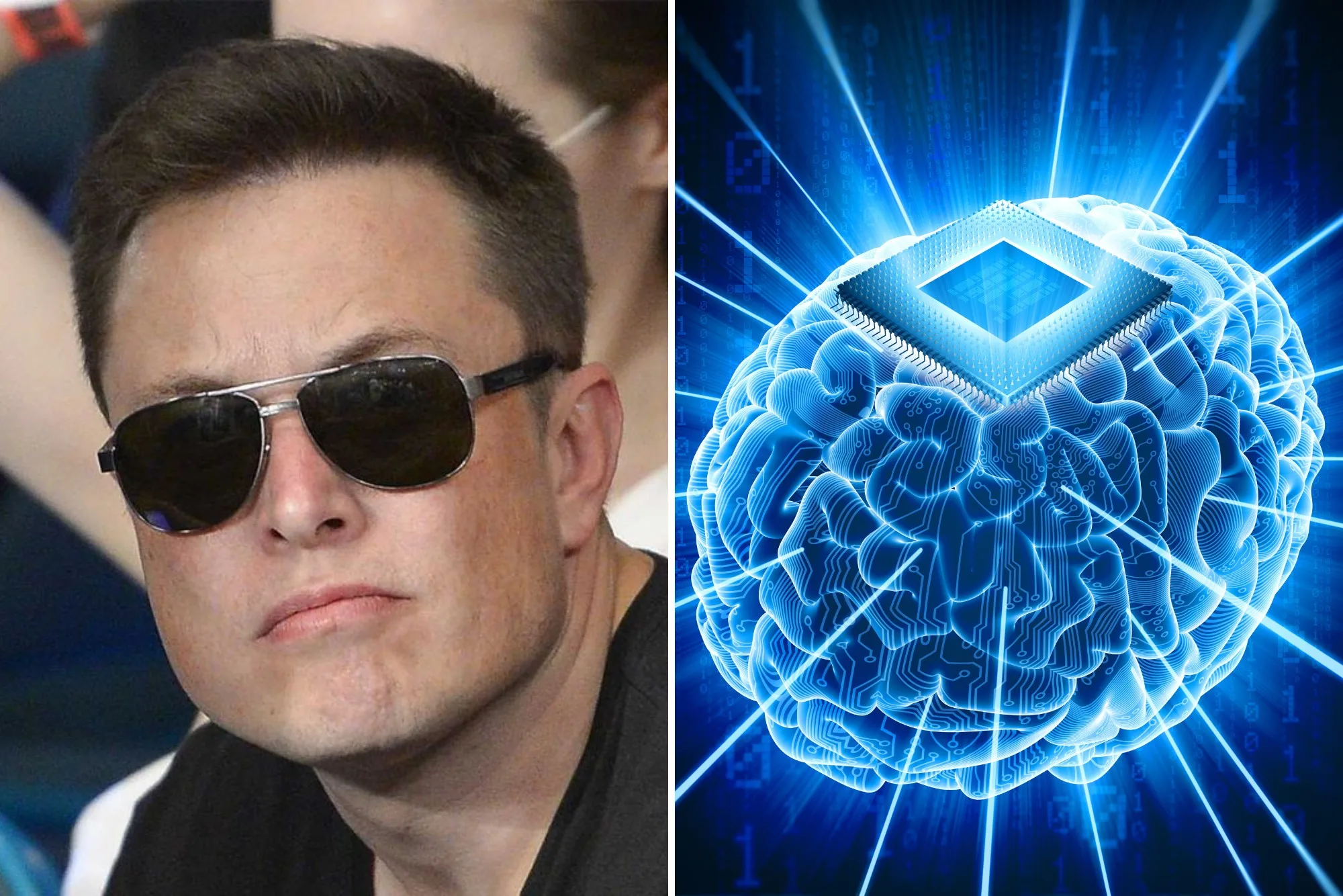 musk cip jpg