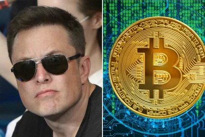 musk bitcoin