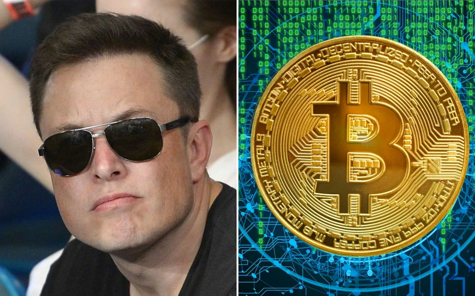 musk bitcoin jpg