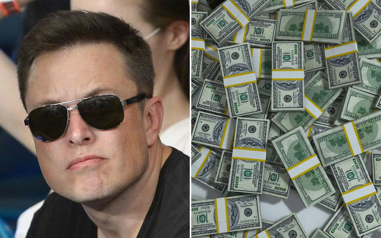 musk peniaze jpg