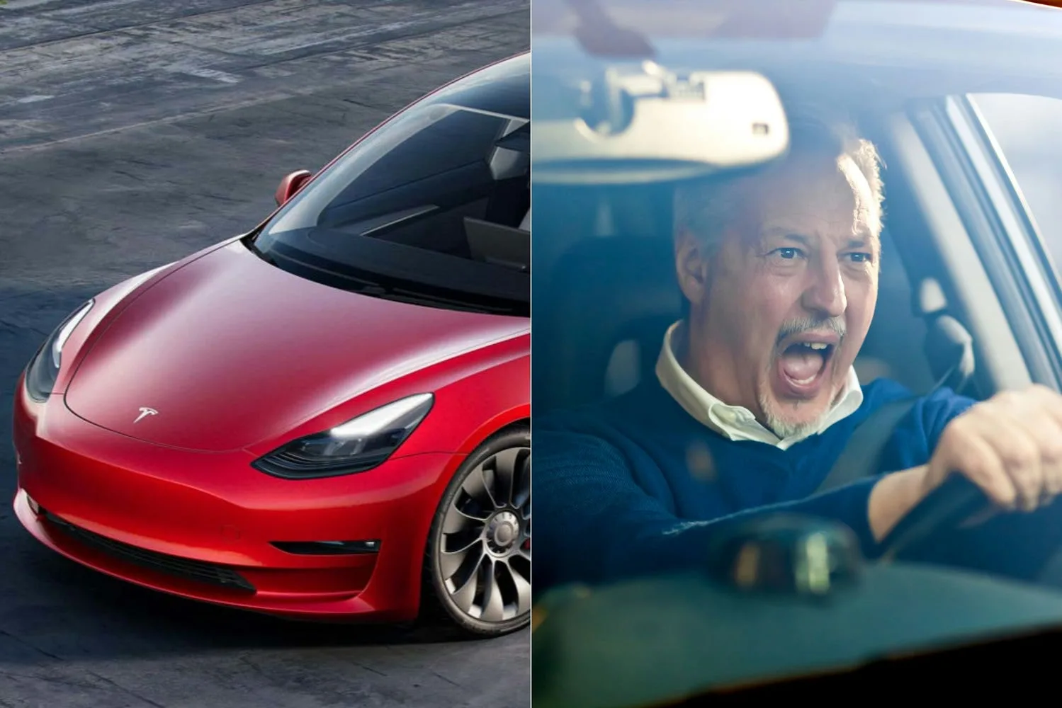 tesla sofer jpg