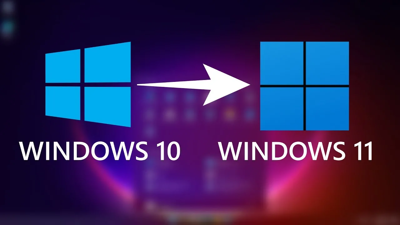 Windows 11