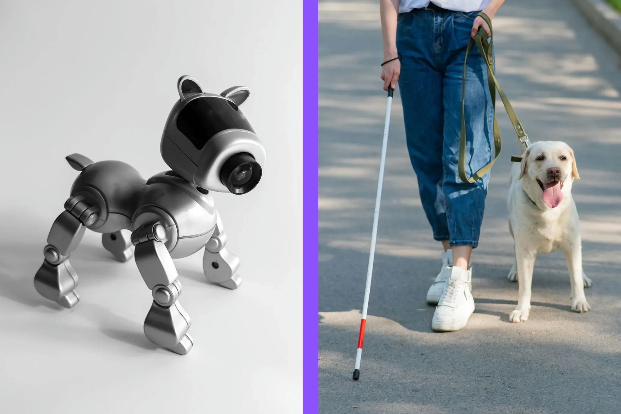 roboticky pes vodiaci pes jpg webp