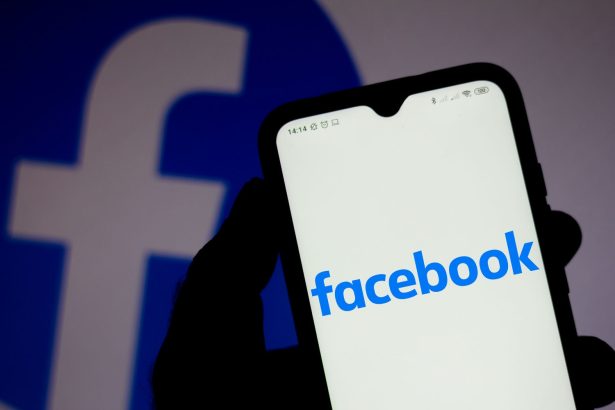 Facebook (ilustr. obr.)