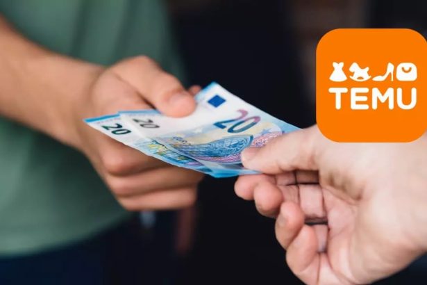Temu, peniaze