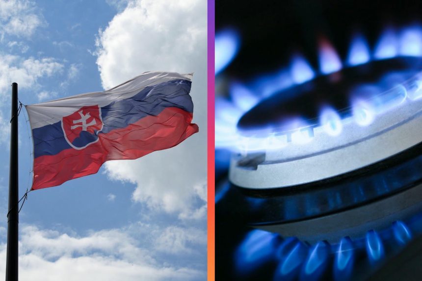 Slovensko, plyn, energie, ceny