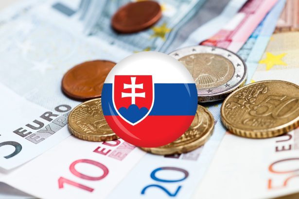 penieze, euro, eurominca, transakčná daň, štátny rozpočet, invalidný dôchodok, eurobankovka