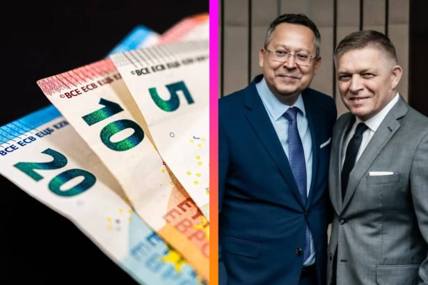 Peniaze, Fico, Kamenicky, štát, platy