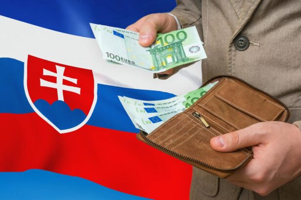 Slovensko, peniaze, konsolidácia, dane, poistenie